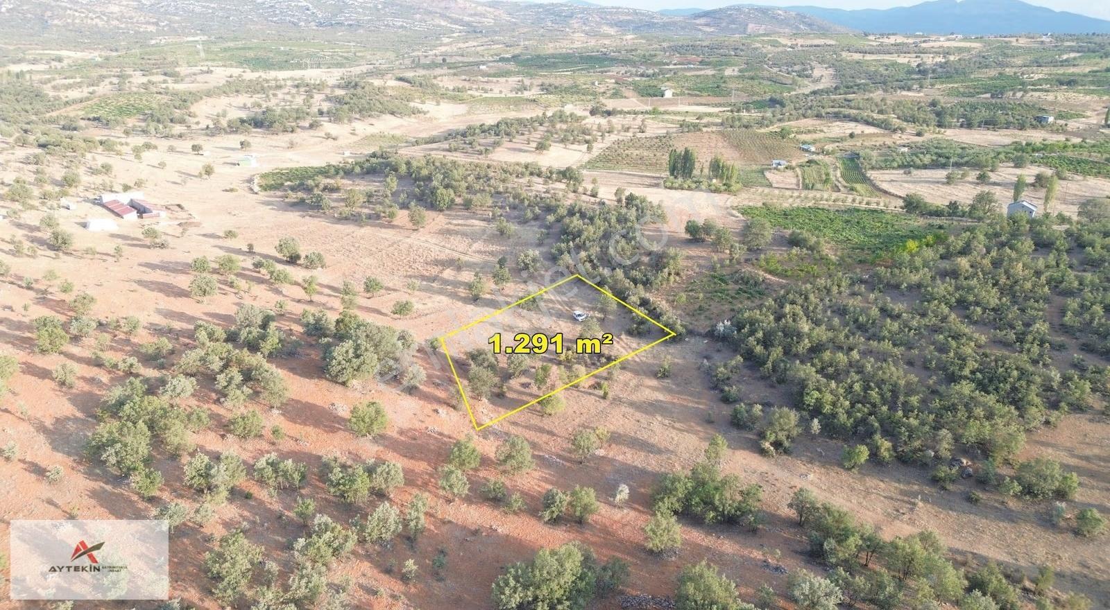 Bozkır Hamzalar Mahallesi'nde 1.291 M² Müstakil Tapulu Bağ - Görsel 9