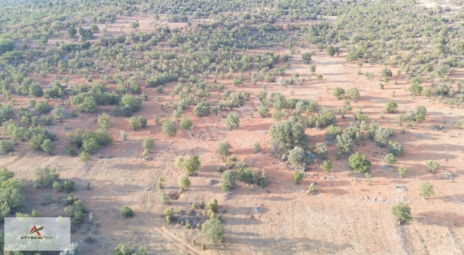 Bozkır Hamzalar Mahallesi'nde 1.291 M² Müstakil Tapulu Bağ