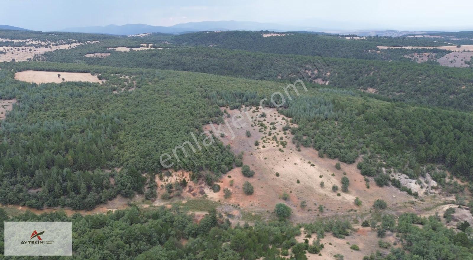Konya Doğanhisar Cami Mahallesi'nde 5.273 M² Müstakil Tarla