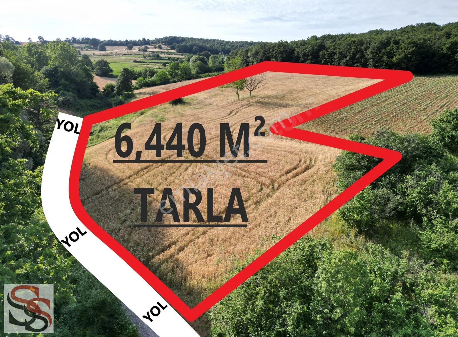 Adapazarı Örentepede 95 Metre Yol Cepheli 6,440m² Yatırmlk Tarla - Görsel 3