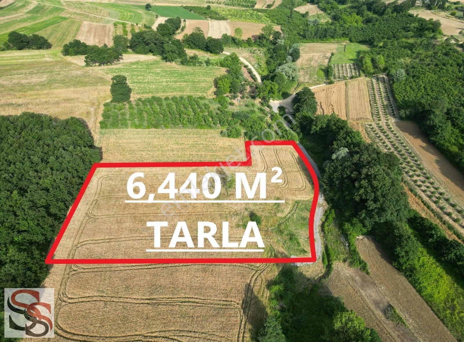 Adapazarı Örentepede 95 Metre Yol Cepheli 6,440m² Yatırmlk Tarla - Görsel 2