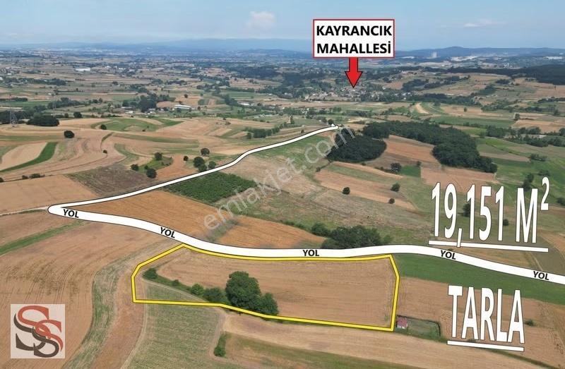 Adapazarı Salmanlı'da Yol'a 190 Metre Cepheli 19,151 M² Tarla - Görsel 8