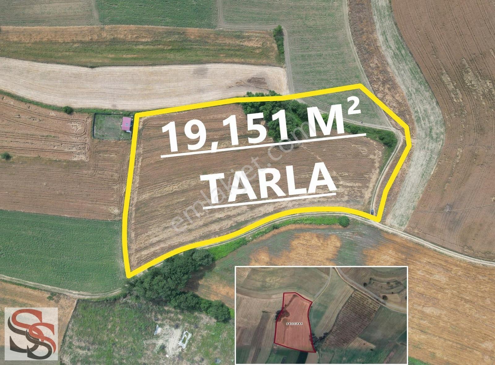 Adapazarı Salmanlı'da Yol'a 190 Metre Cepheli 19,151 M² Tarla - Görsel 5