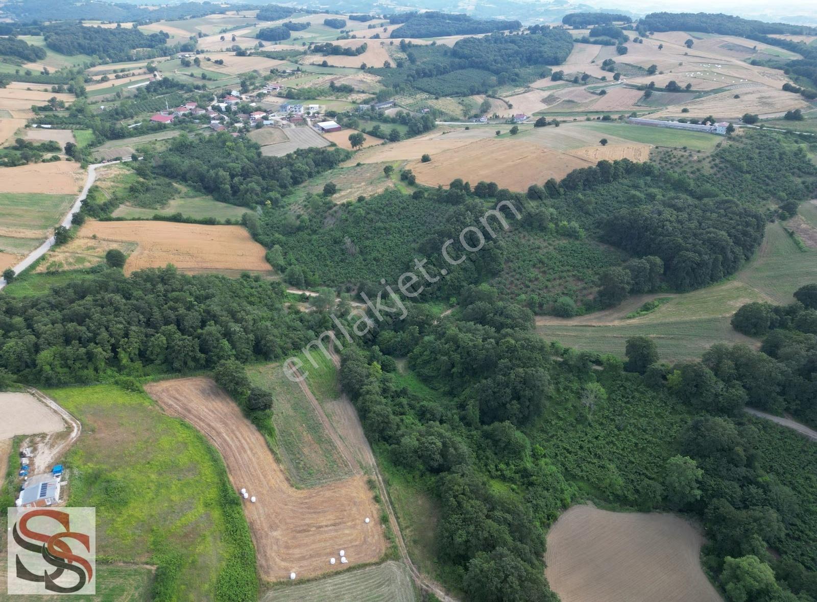 Kandıra Kanatlar Mahallesinde Yatırımlık 2,435 M² Tarla - Görsel 6