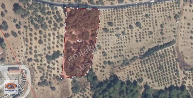 Kuşadası Kirazlıda Satılık / Yatırımlık Tarla - Görsel 8