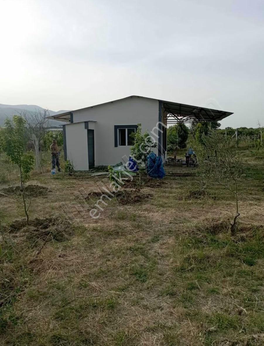 Çeşitli Meyve Ağaçları Bulunmaktadır - Görsel 10