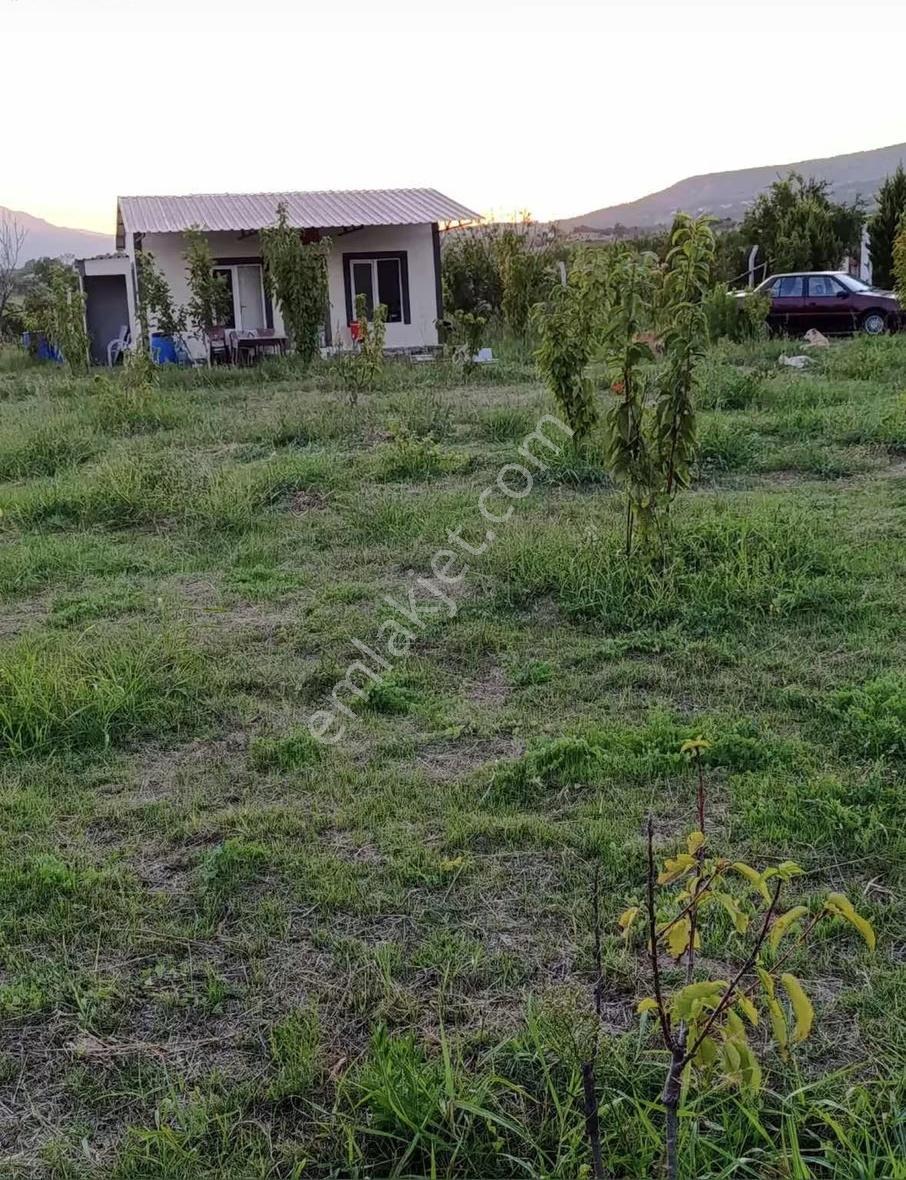 Çeşitli Meyve Ağaçları Bulunmaktadır - Görsel 7