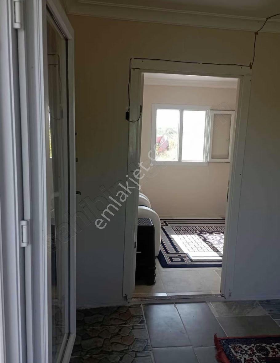Çeşitli Meyve Ağaçları Bulunmaktadır - Görsel 5