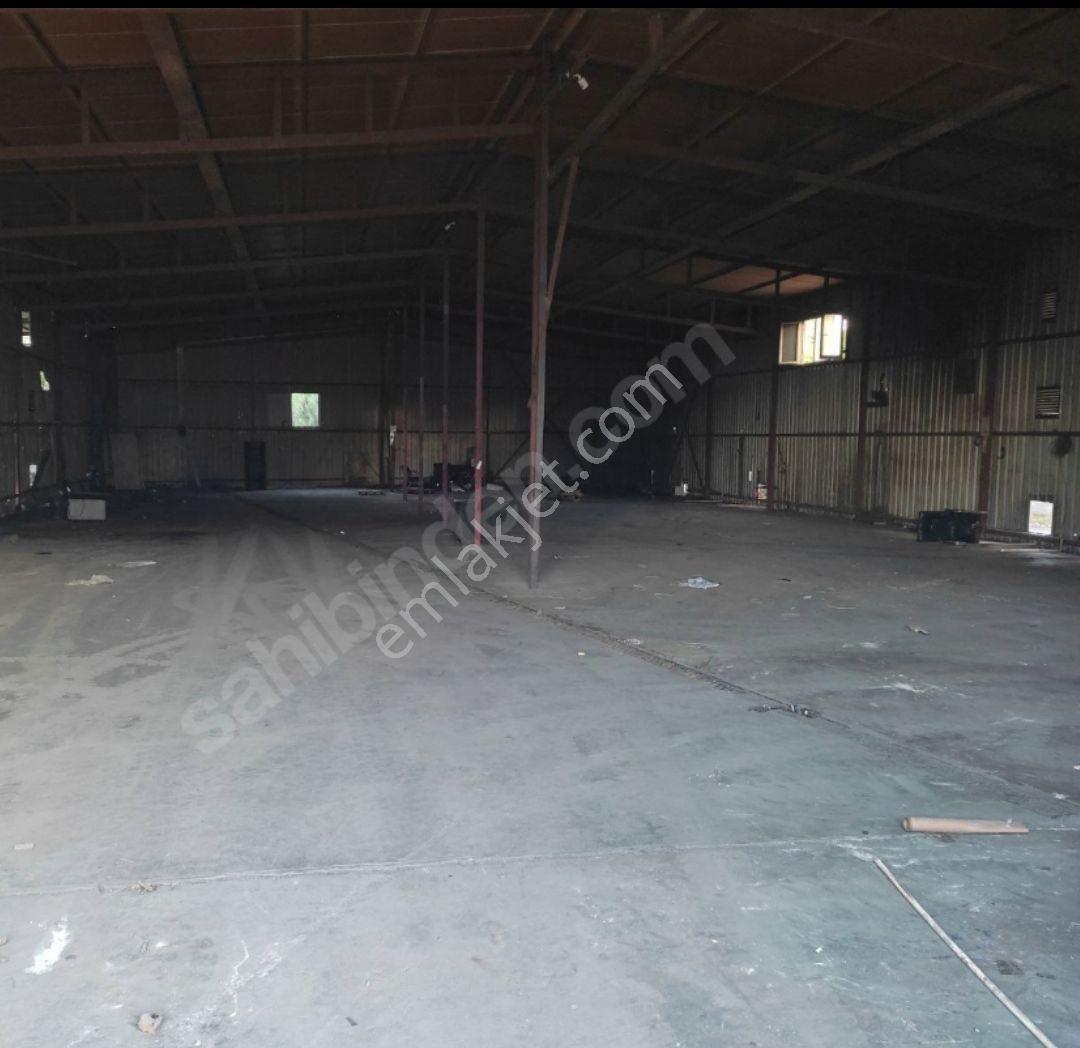 Pendik Kavakpınarda 1000 M2 Kapalı 1000 M2 Açık Alan + Ofis Kw - Görsel 3