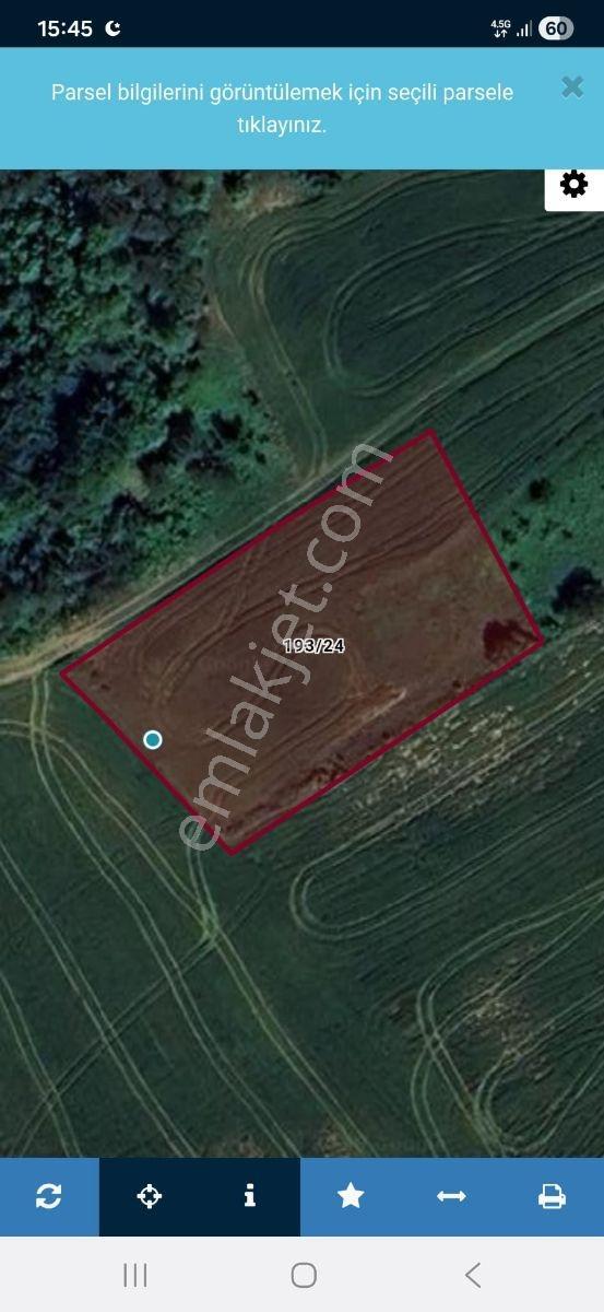 Kulacadag Yolu Olan Tek Tapu 2027 M² Tarla - Görsel 11
