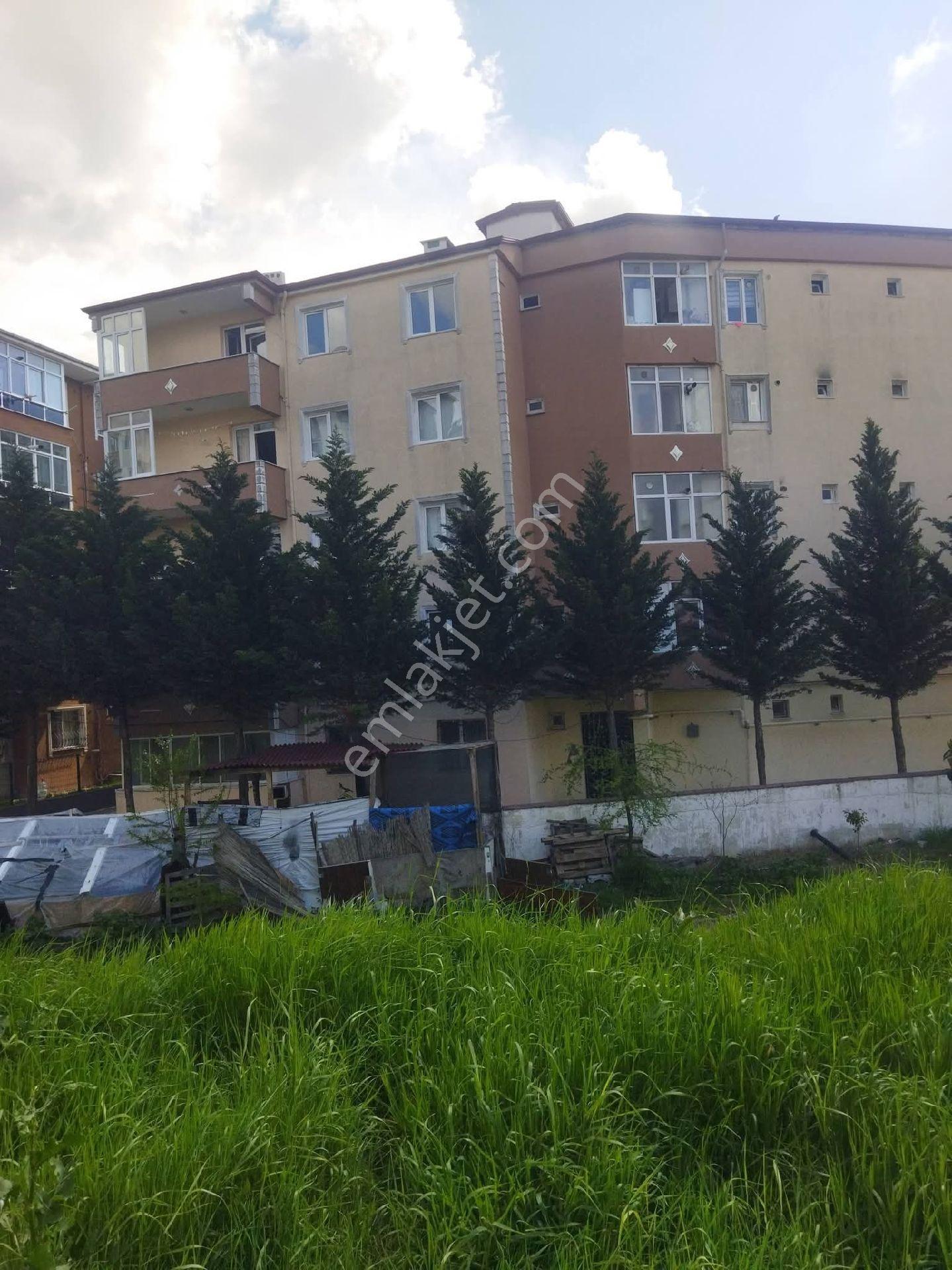 Sahibinden Satılık 2t1 Balkonlu Yüksek Giriş Kat - Görsel 12