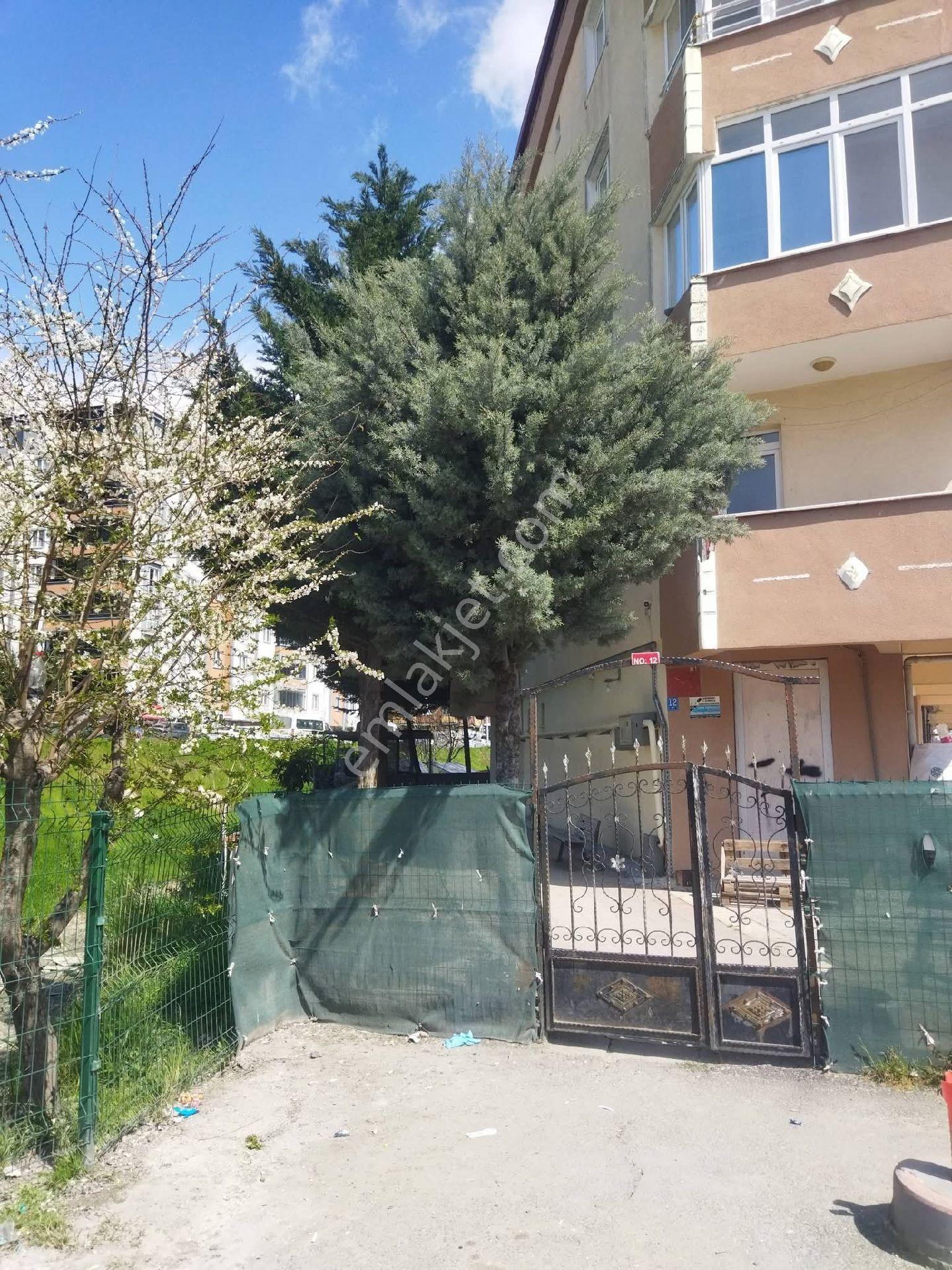 Sahibinden Satılık 2t1 Balkonlu Yüksek Giriş Kat - Görsel 9