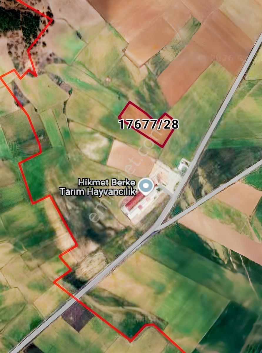 Kaymen Emlak Satılık Tepebaşı Kızılcaören 8225 M2 Köyyanı Tarla