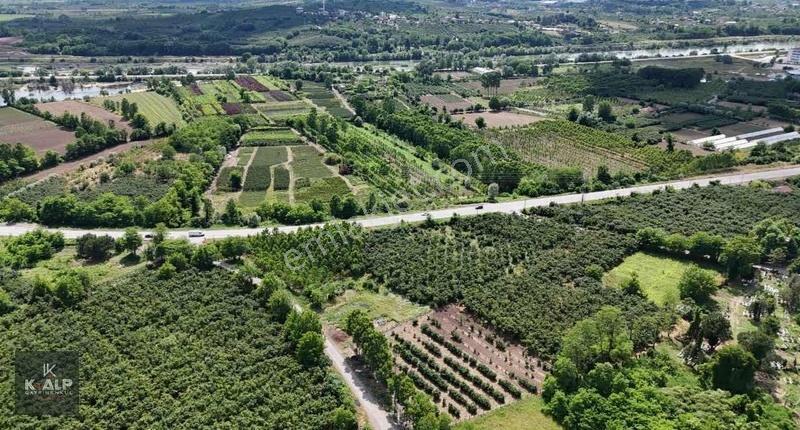 Çarşamba Salıpazarı Yolu 2.km'de Satılık Yola Cephe 6336 M2 Arsa - Görsel 10