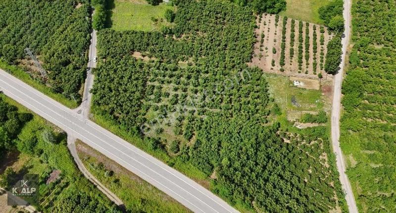 Çarşamba Salıpazarı Yolu 2.km'de Satılık Yola Cephe 6336 M2 Arsa - Görsel 7