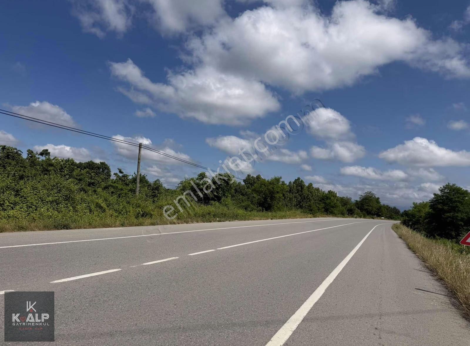 Çarşamba Salıpazarı Yolu 2.km'de Satılık Yola Cephe 6336 M2 Arsa - Görsel 18