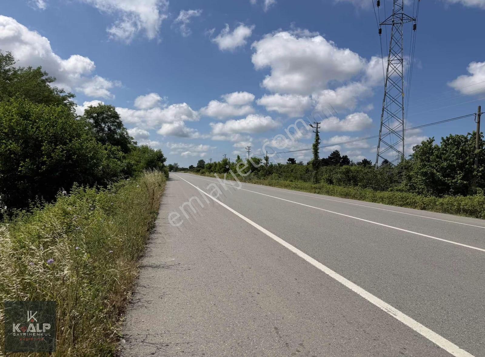 Çarşamba Salıpazarı Yolu 2.km'de Satılık Yola Cephe 6336 M2 Arsa - Görsel 3