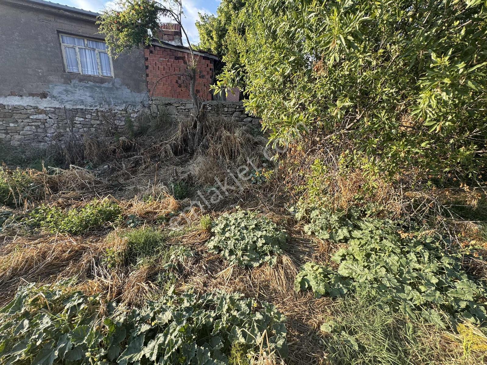 Köyiçi Müstakil Parsel - Görsel 5