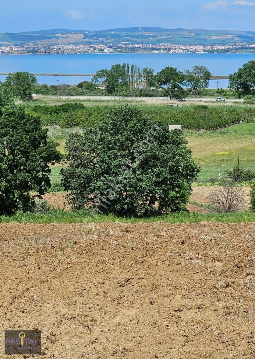 Çanakkale Lapseki Çardak Satılık Muhtesem Manzaralı Tarla - Görsel 13
