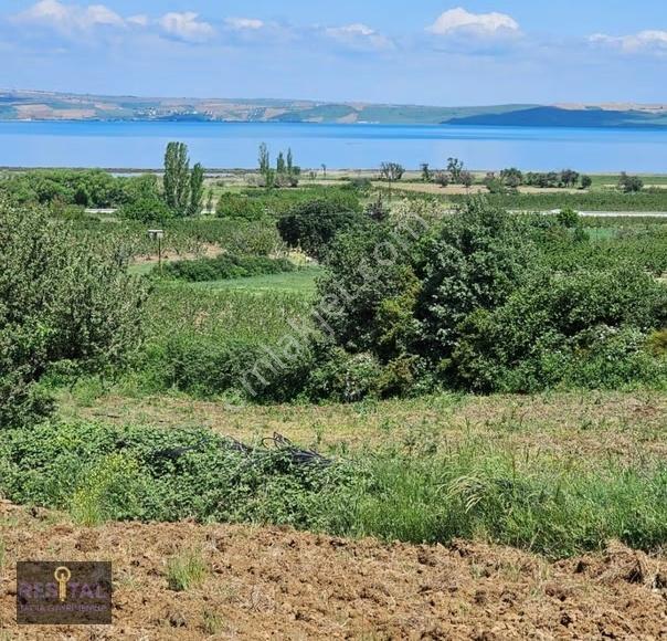 Çanakkale Lapseki Çardak Satılık Muhtesem Manzaralı Tarla - Görsel 7