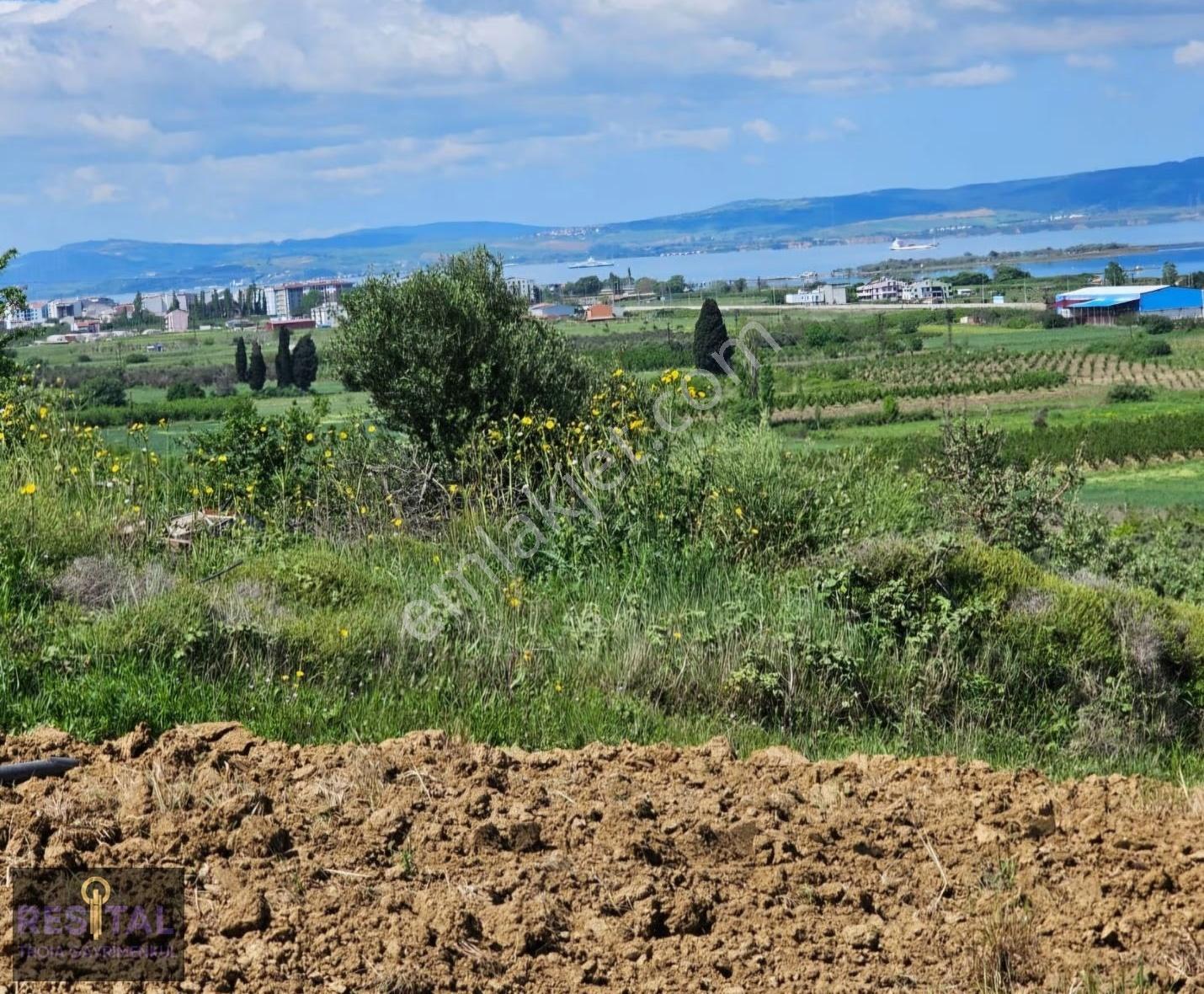 Çanakkale Lapseki Çardak Satılık Muhtesem Manzaralı Tarla - Görsel 8