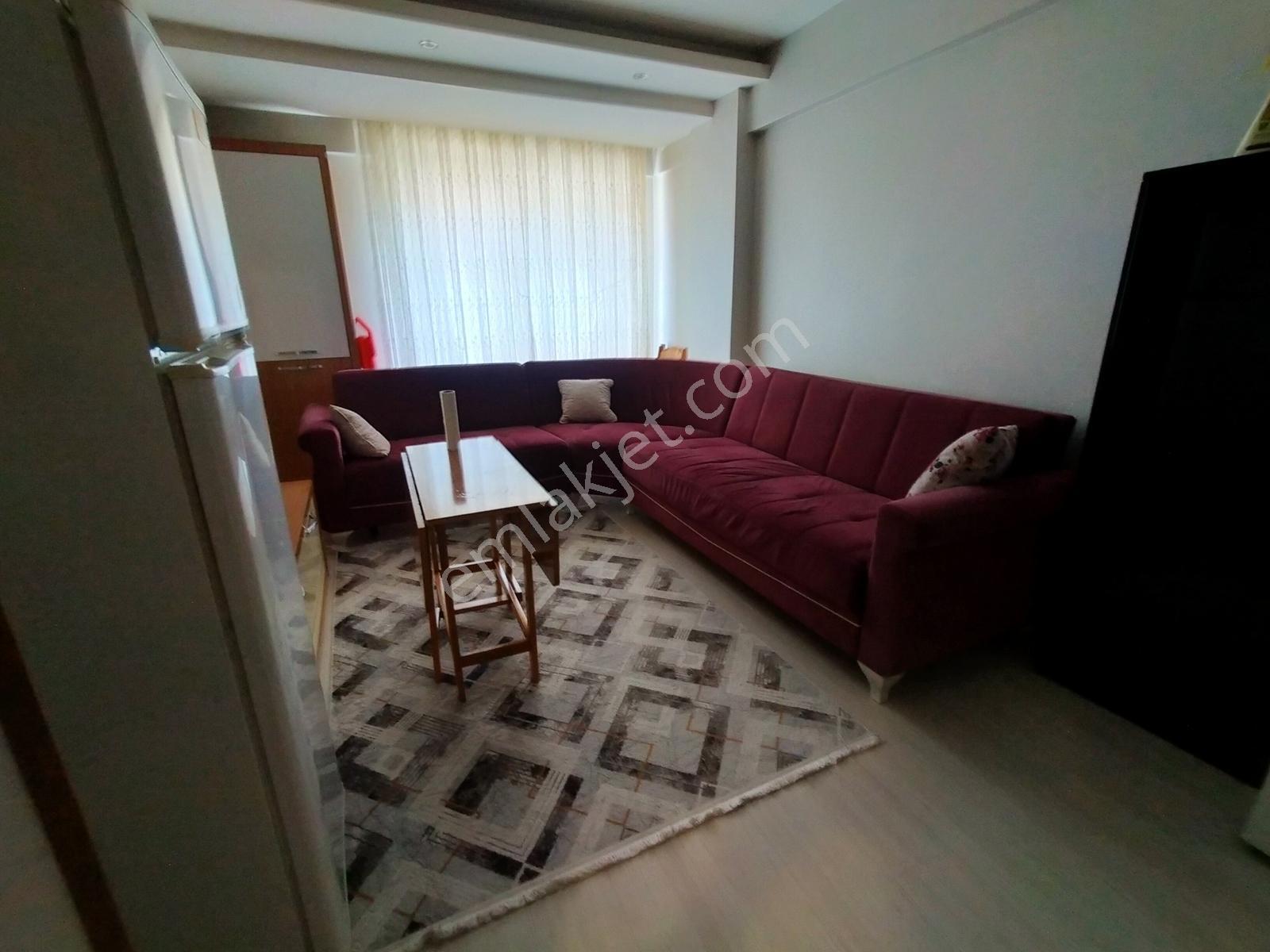 Çaybaşı Cd Yakın Değirmenönünde 55m2 1+1 Klimalı Apart Daire - Görsel 9
