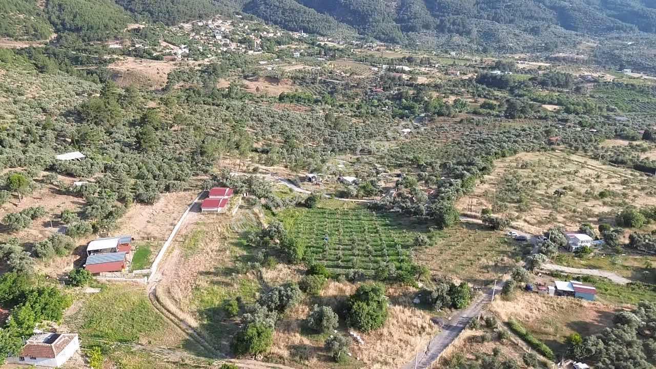 Köy Yerleşim Alanı Full Yola Cephe - Görsel 2