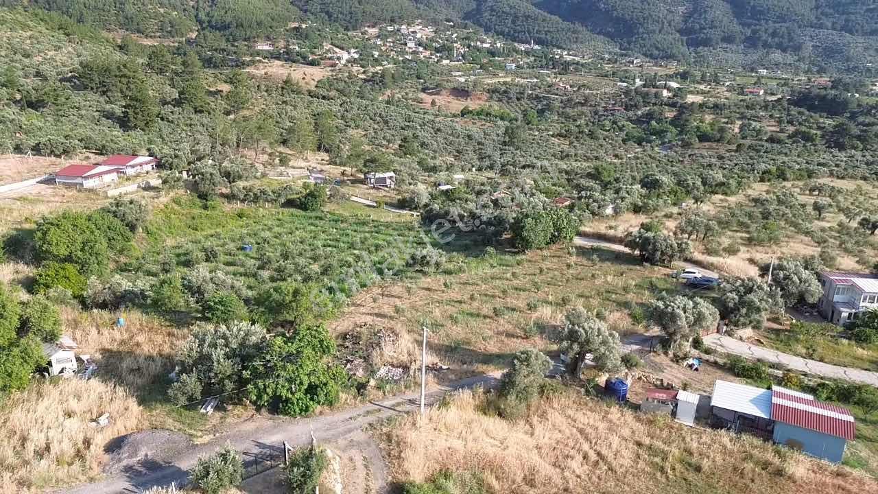 Köy Yerleşim Alanı Full Yola Cephe - Görsel 6