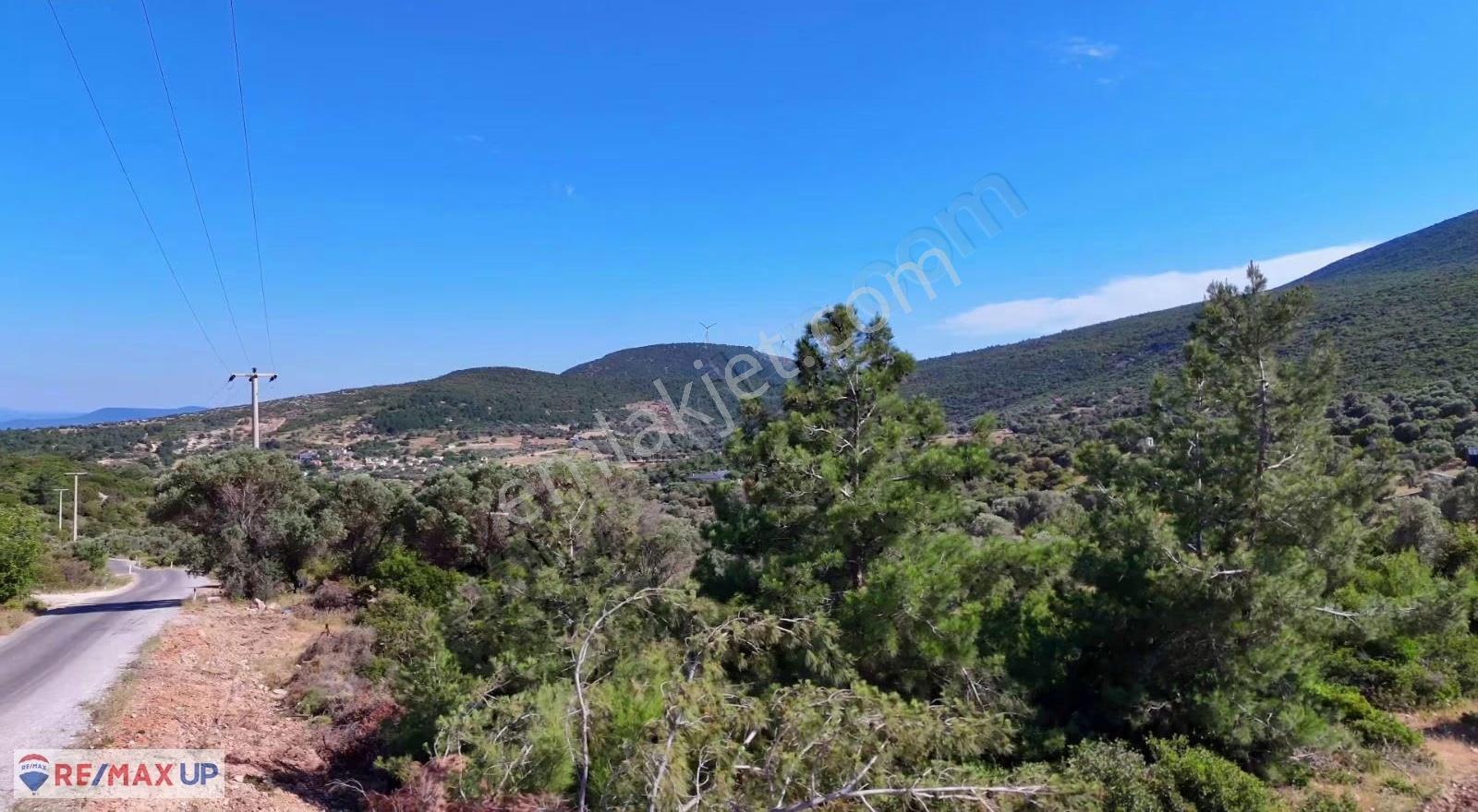 Mordoğan'da Deniz Manzaralı Satılık Arazi - Görsel 6