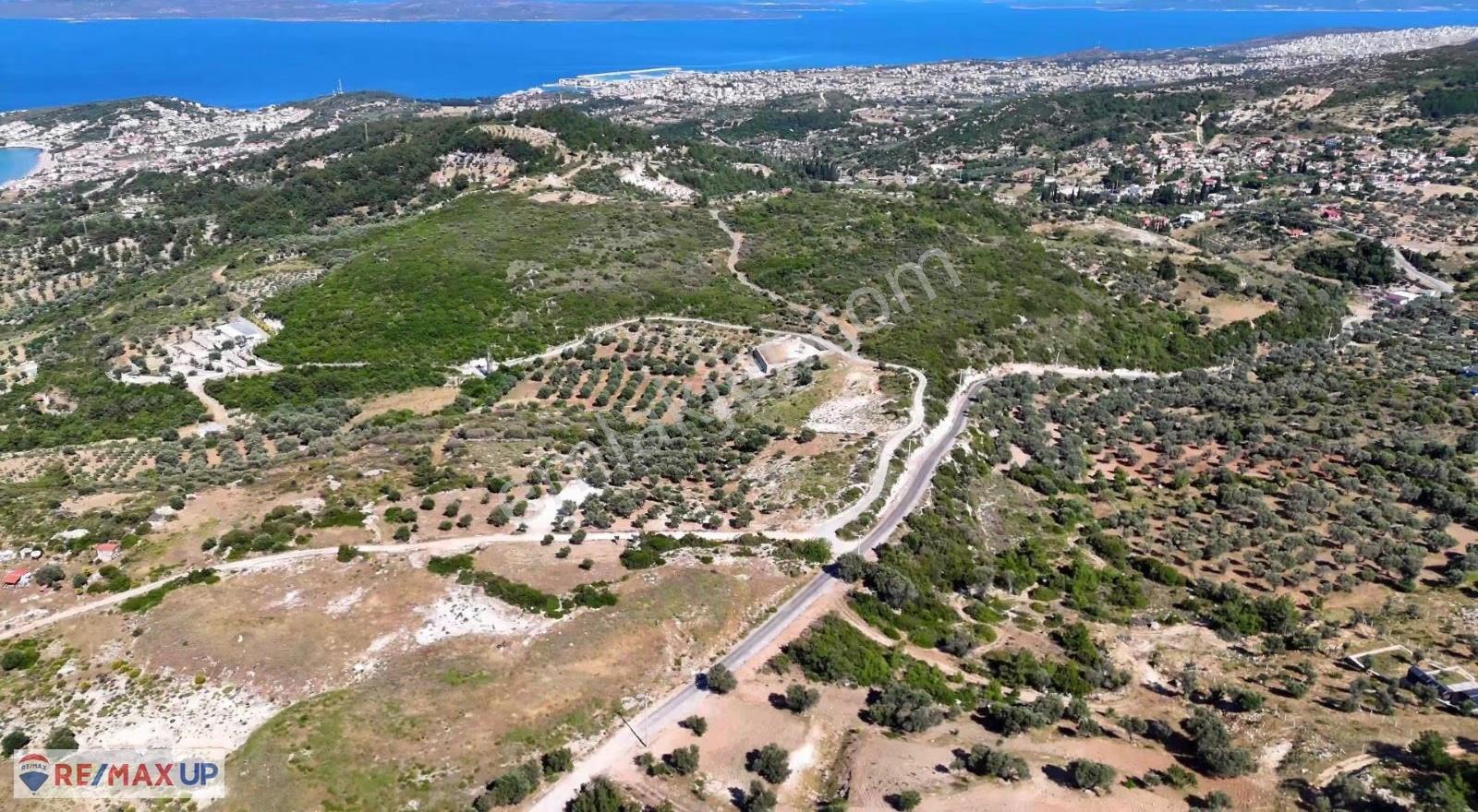 Mordoğan'da Deniz Manzaralı Satılık Arazi - Görsel 11