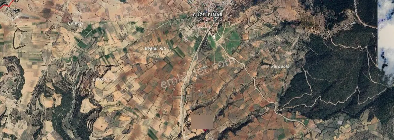 Ayşah'tan Güzelpınar'da Satılık İki Adet Tarla Pazarlıklı Fiyat!