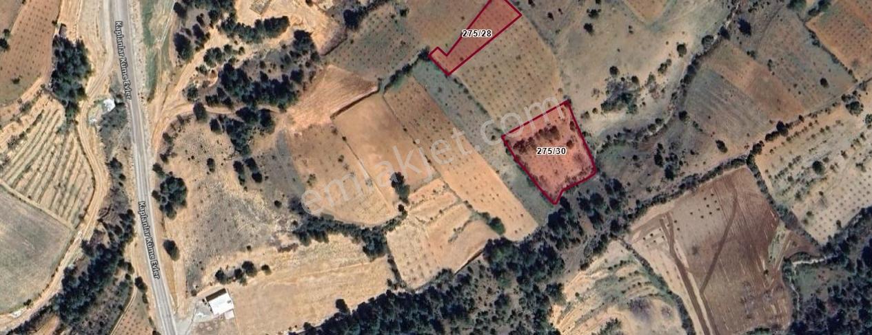 Ayşah'tan Güzelpınar'da Satılık İki Adet Tarla Pazarlıklı Fiyat! - Görsel 5