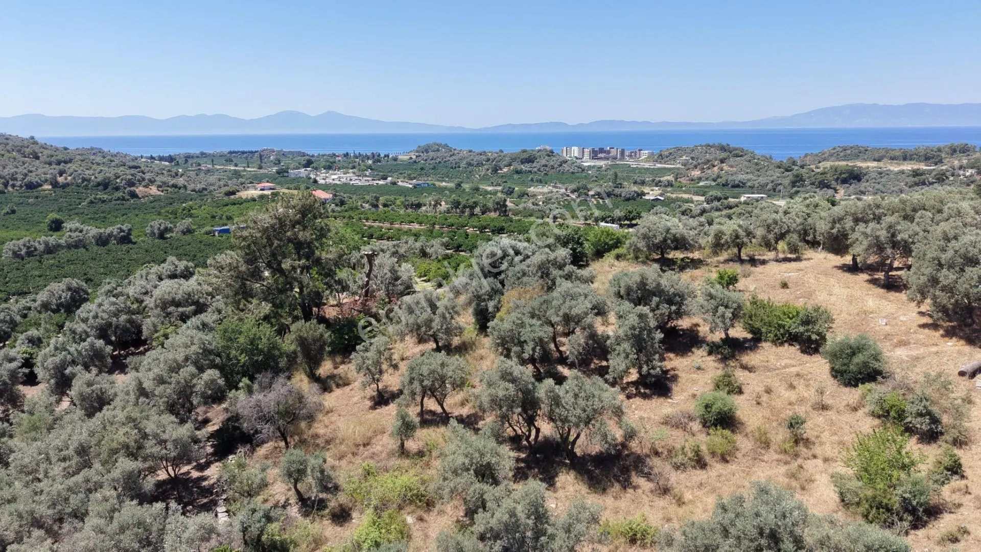 İzmir Özderede Satılık Deniz Manzaralı Tektapu 1.961 M2 Yatırımlık Bahçe - Görsel 2