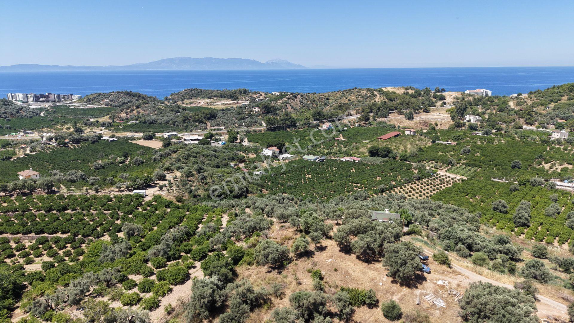 İzmir Özderede Satılık Deniz Manzaralı Tektapu 1.961 M2 Yatırımlık Bahçe - Görsel 7