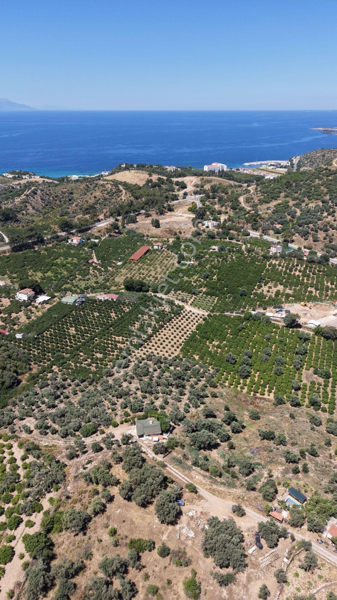 İzmir Özderede Satılık Deniz Manzaralı Tektapu 1.961 M2 Yatırımlık Bahçe - Görsel 23
