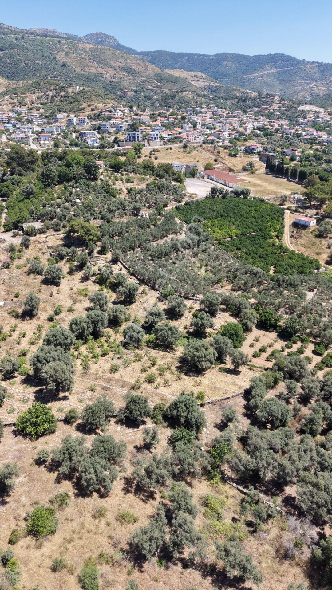 İzmir Özderede Satılık Deniz Manzaralı Tektapu 1.961 M2 Yatırımlık Bahçe - Görsel 17