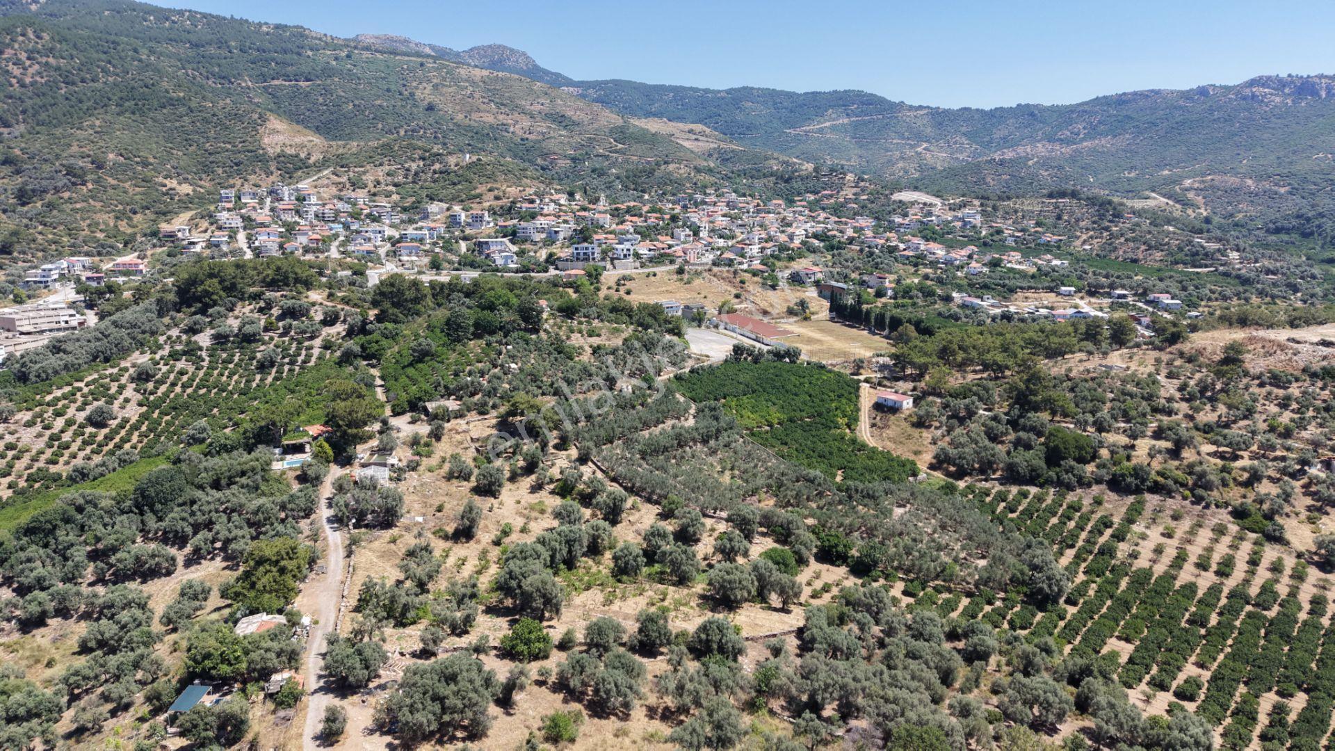 İzmir Özderede Satılık Deniz Manzaralı Tektapu 1.961 M2 Yatırımlık Bahçe - Görsel 13