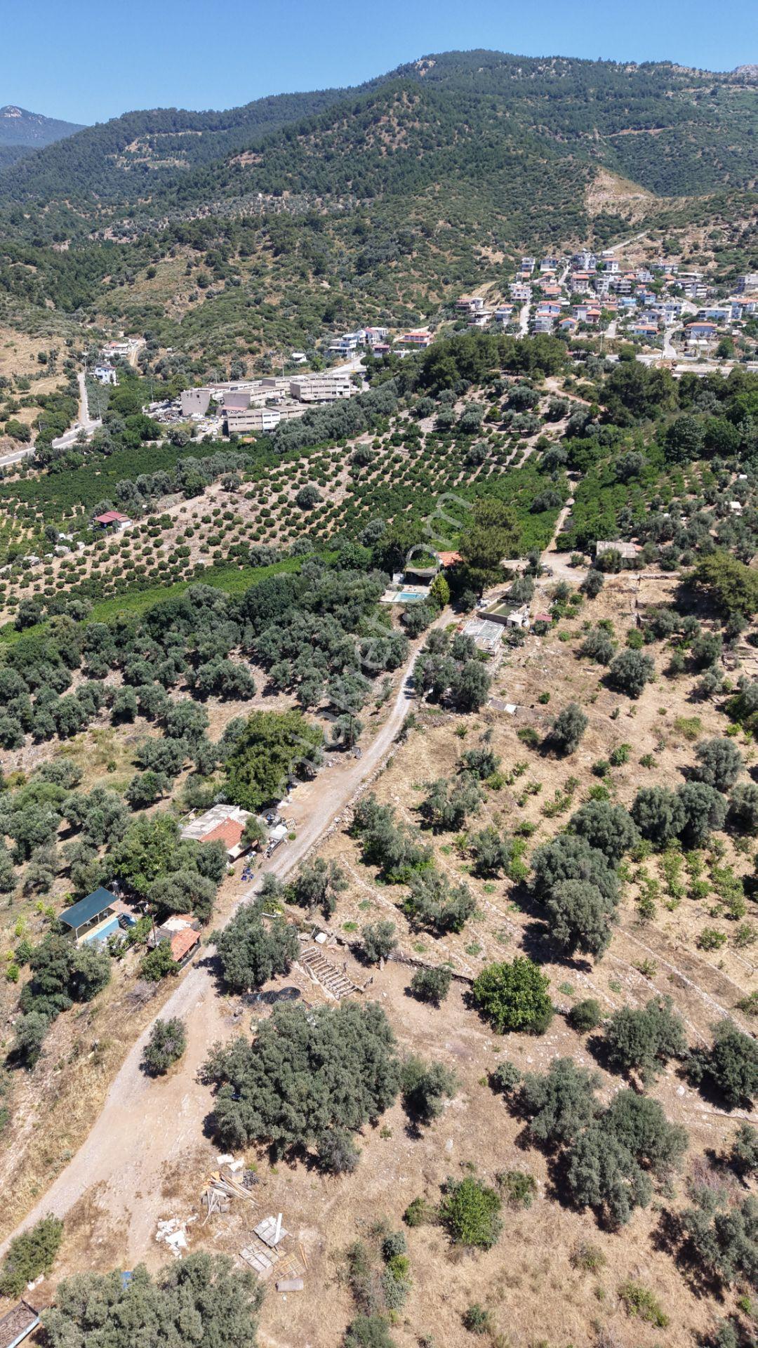 İzmir Özderede Satılık Deniz Manzaralı Tektapu 1.961 M2 Yatırımlık Bahçe - Görsel 18
