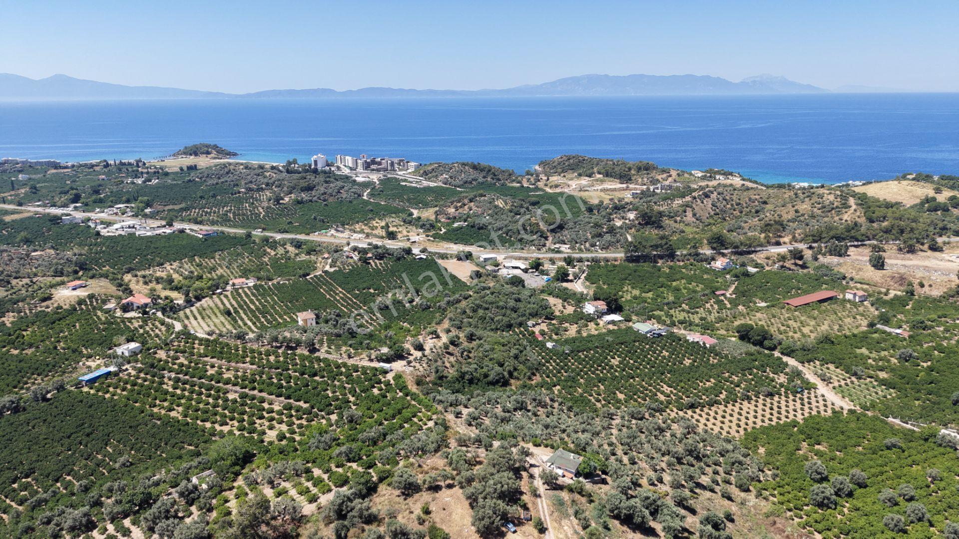 İzmir Özderede Satılık Deniz Manzaralı Tektapu 1.961 M2 Yatırımlık Bahçe