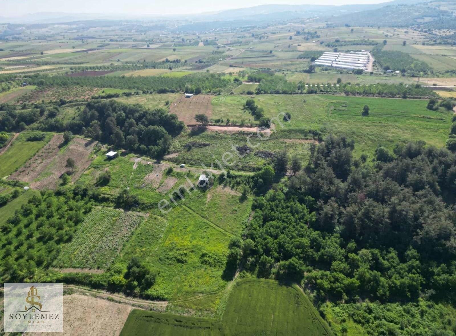 Yenişehir Akbıyık Köyünde 343 M2 Hobi Bahçesi - Görsel 6