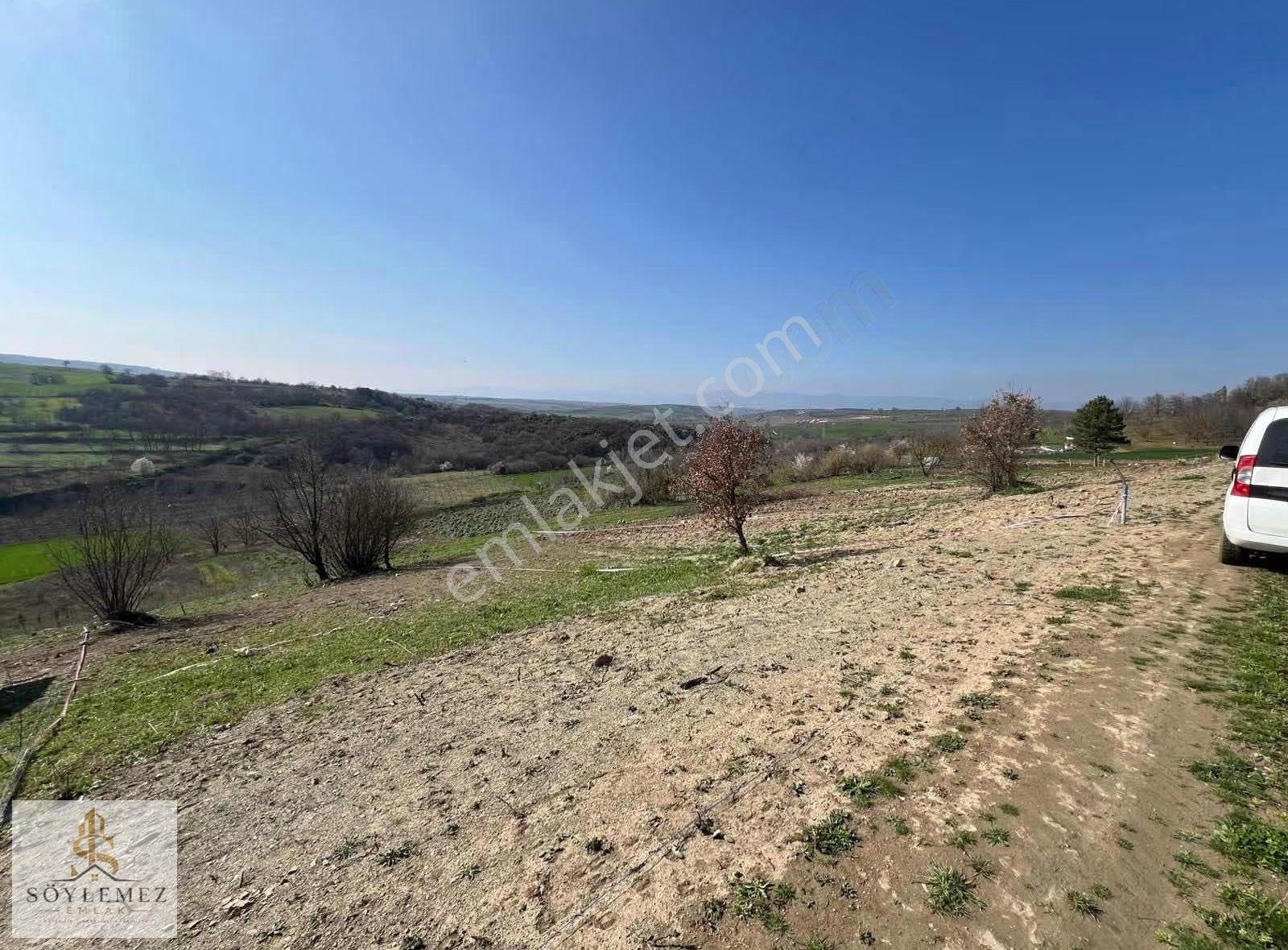 Yenişehir Akbıyık Köyünde 343 M2 Hobi Bahçesi - Görsel 10