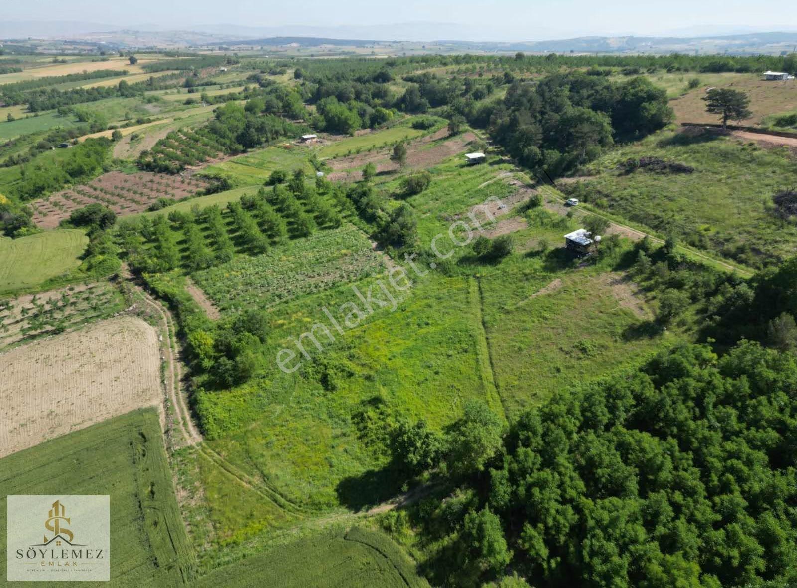 Yenişehir Akbıyık Köyünde 343 M2 Hobi Bahçesi - Görsel 8