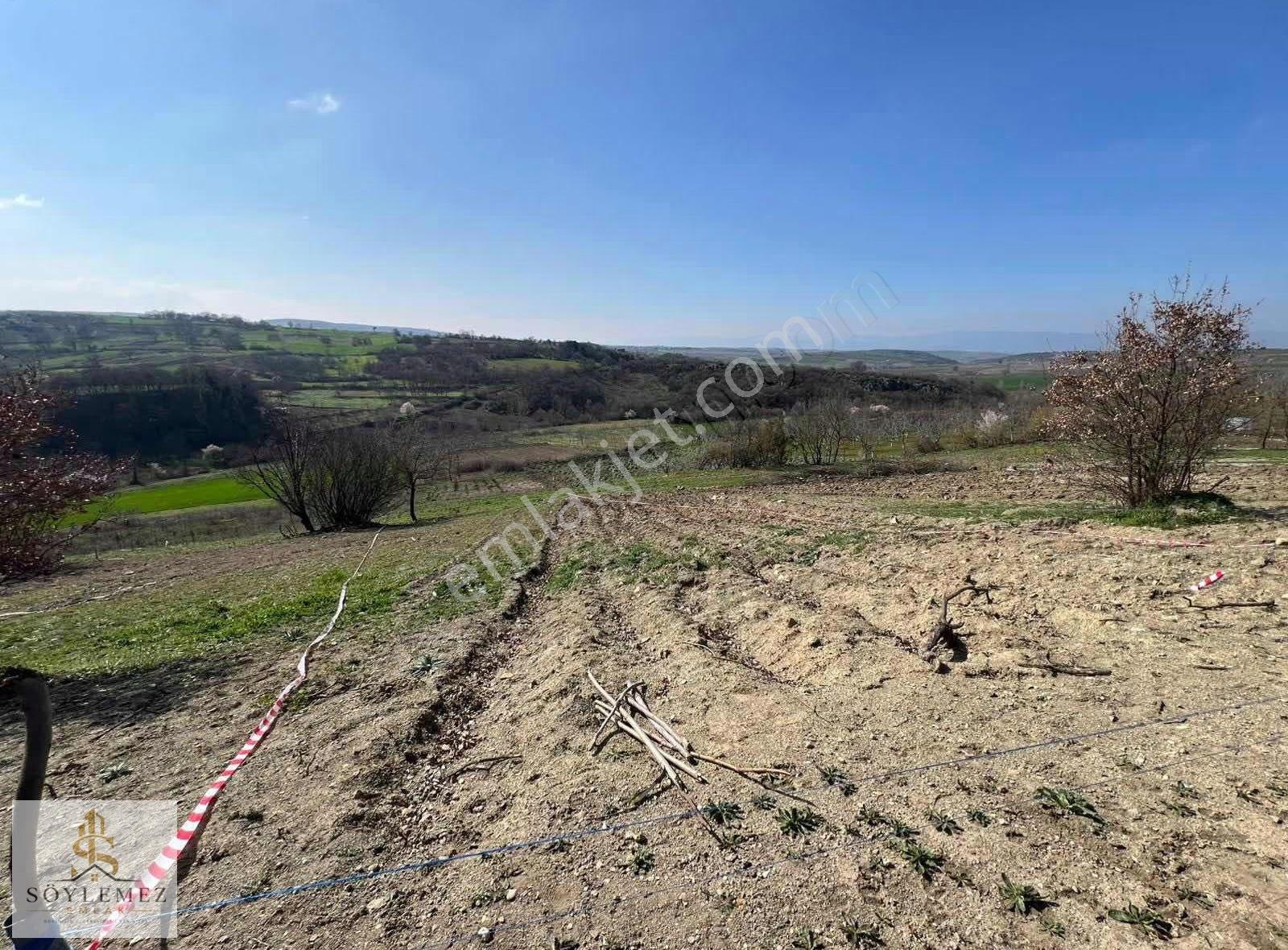 Yenişehir Akbıyık Köyünde 343 M2 Hobi Bahçesi - Görsel 14