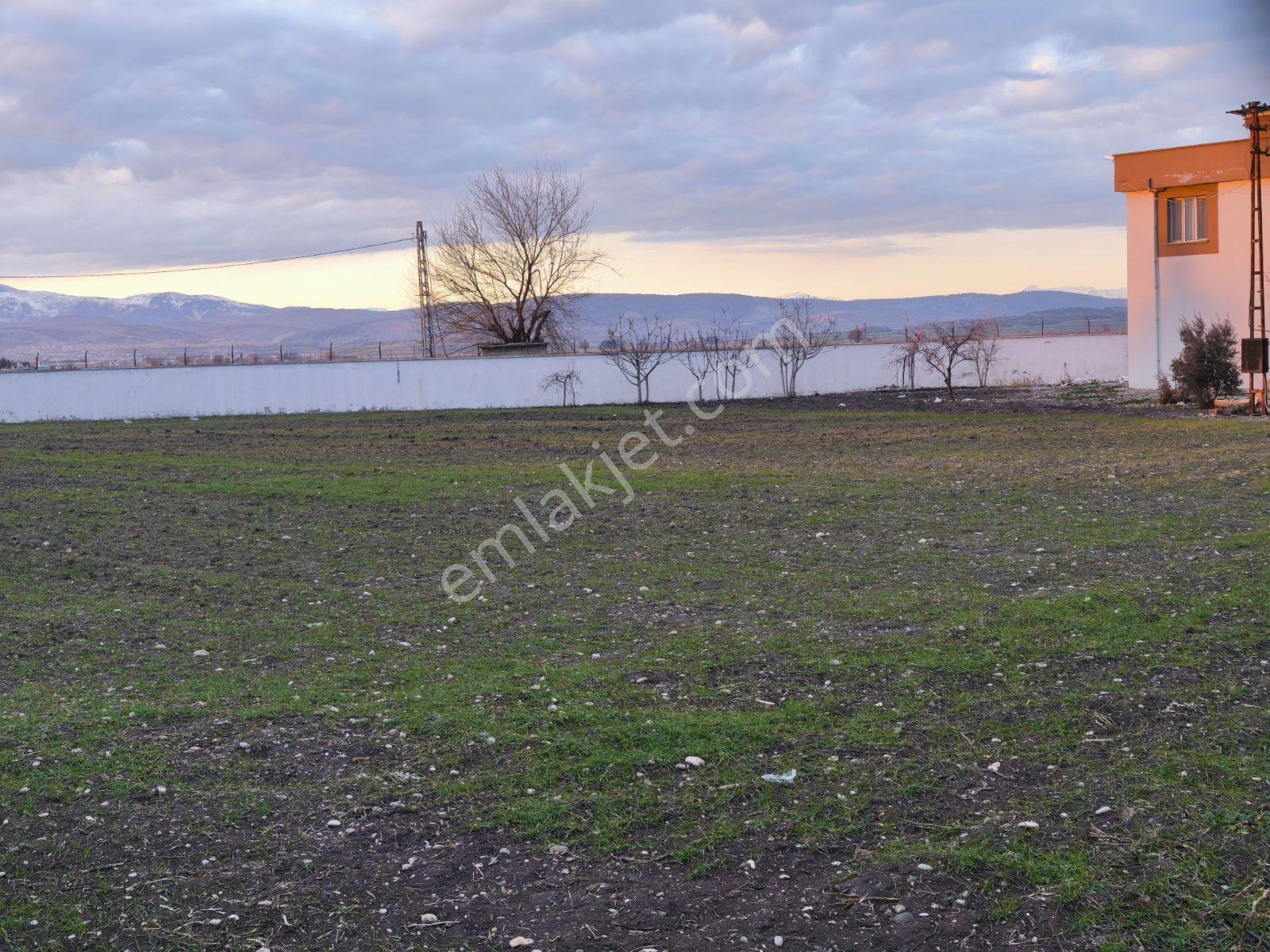 Villamız Türkoğlu Narlı Arasında 5.491 M2 Tarla İçerisindedir - Görsel 21
