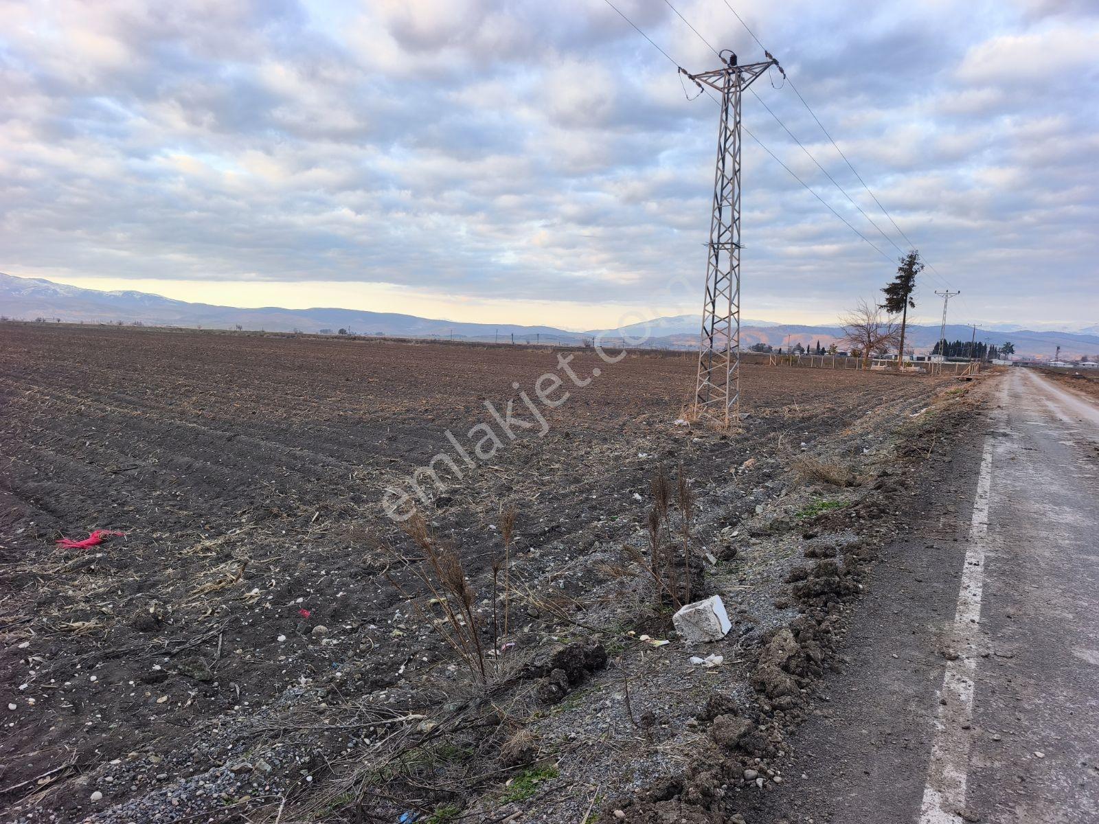 Villamız Türkoğlu Narlı Arasında 5.491 M2 Tarla İçerisindedir - Görsel 20