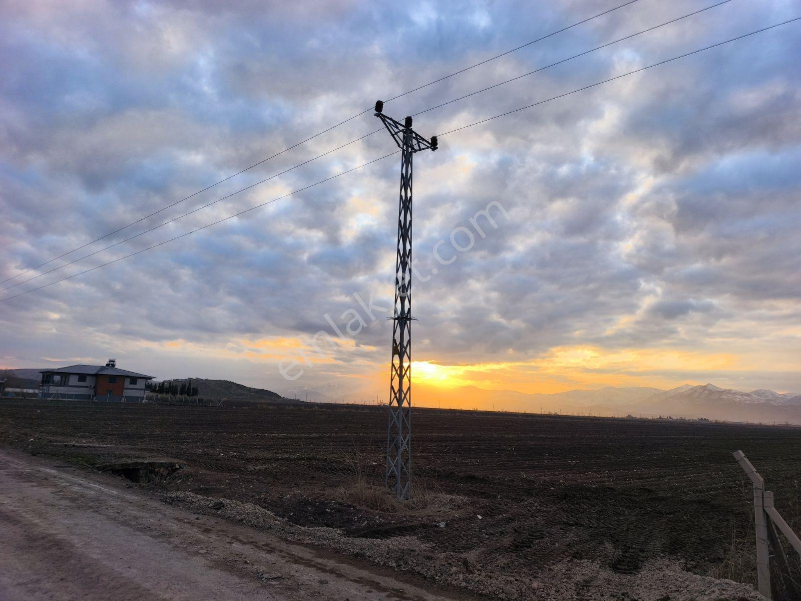 Villamız Türkoğlu Narlı Arasında 5.491 M2 Tarla İçerisindedir - Görsel 30