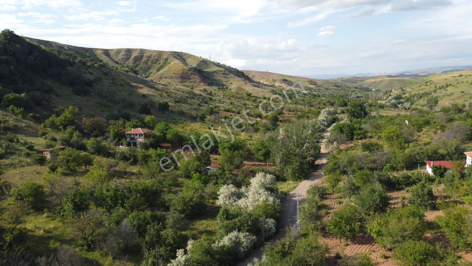 *peçenek Te Yol Kenarı Bahçelerin İçerisinde 255 Metre Hisseli* - Görsel 22