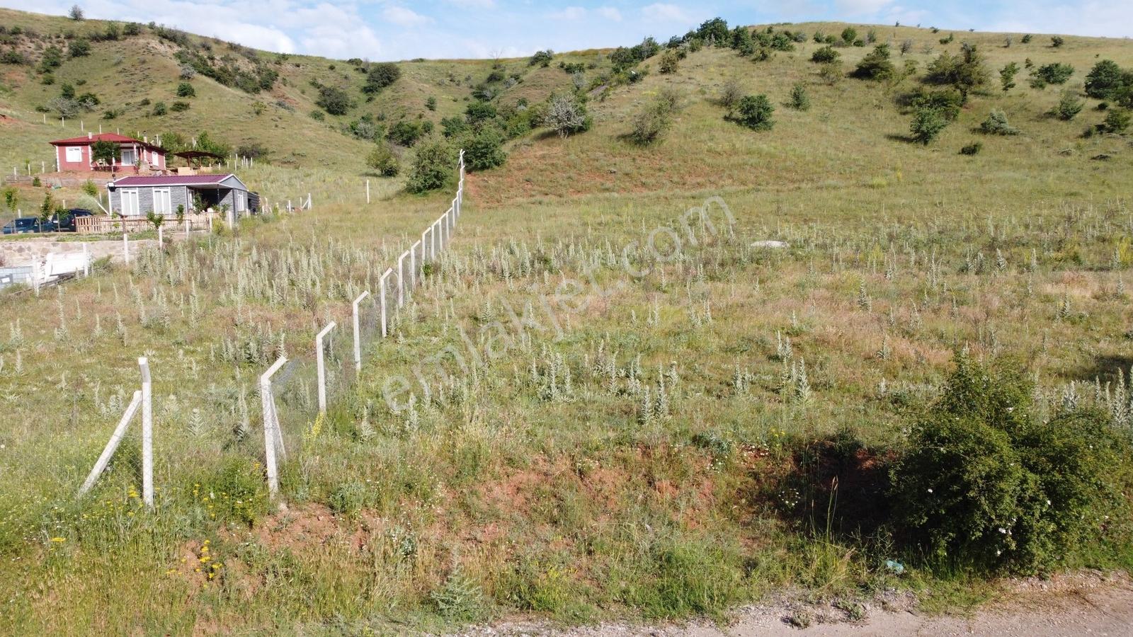 *peçenek Te Yol Kenarı Bahçelerin İçerisinde 255 Metre Hisseli* - Görsel 28