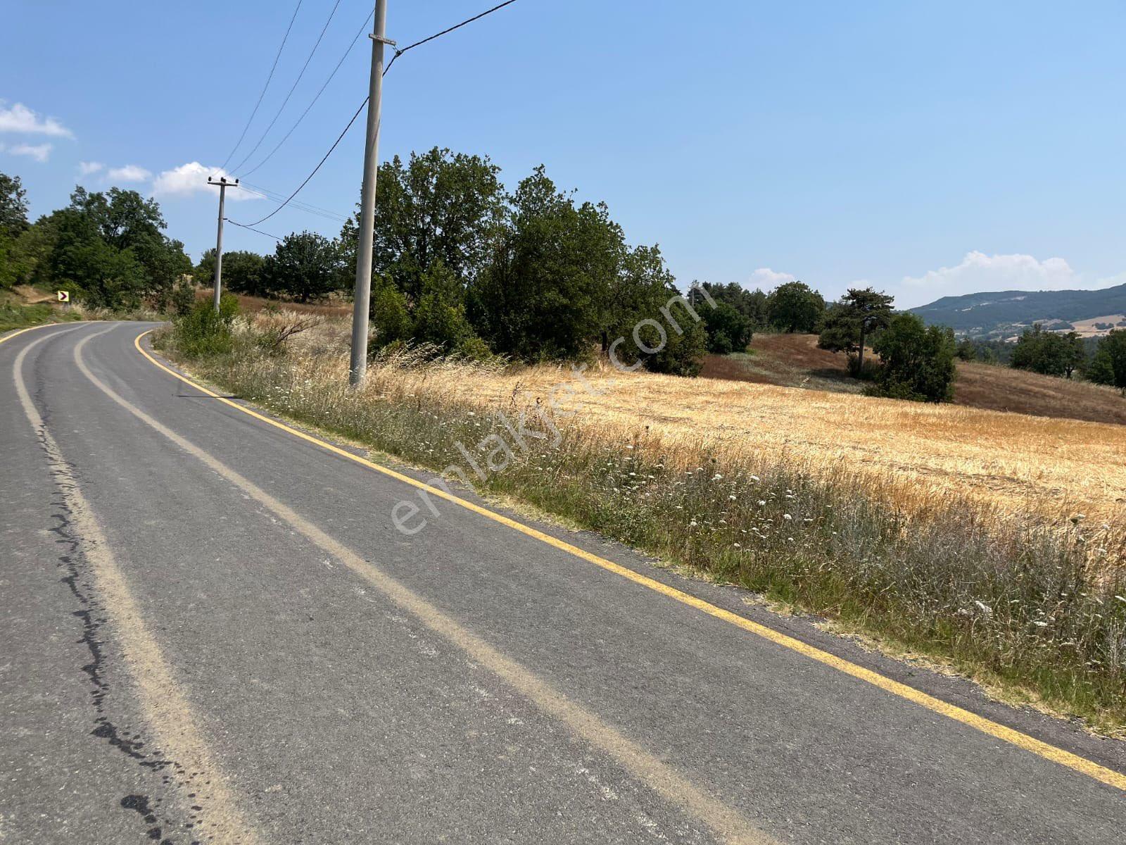 Sahibinden Satılık Geyve Poydular 4,5 Dönüm Asfalt Yola Cepheli - Görsel 3