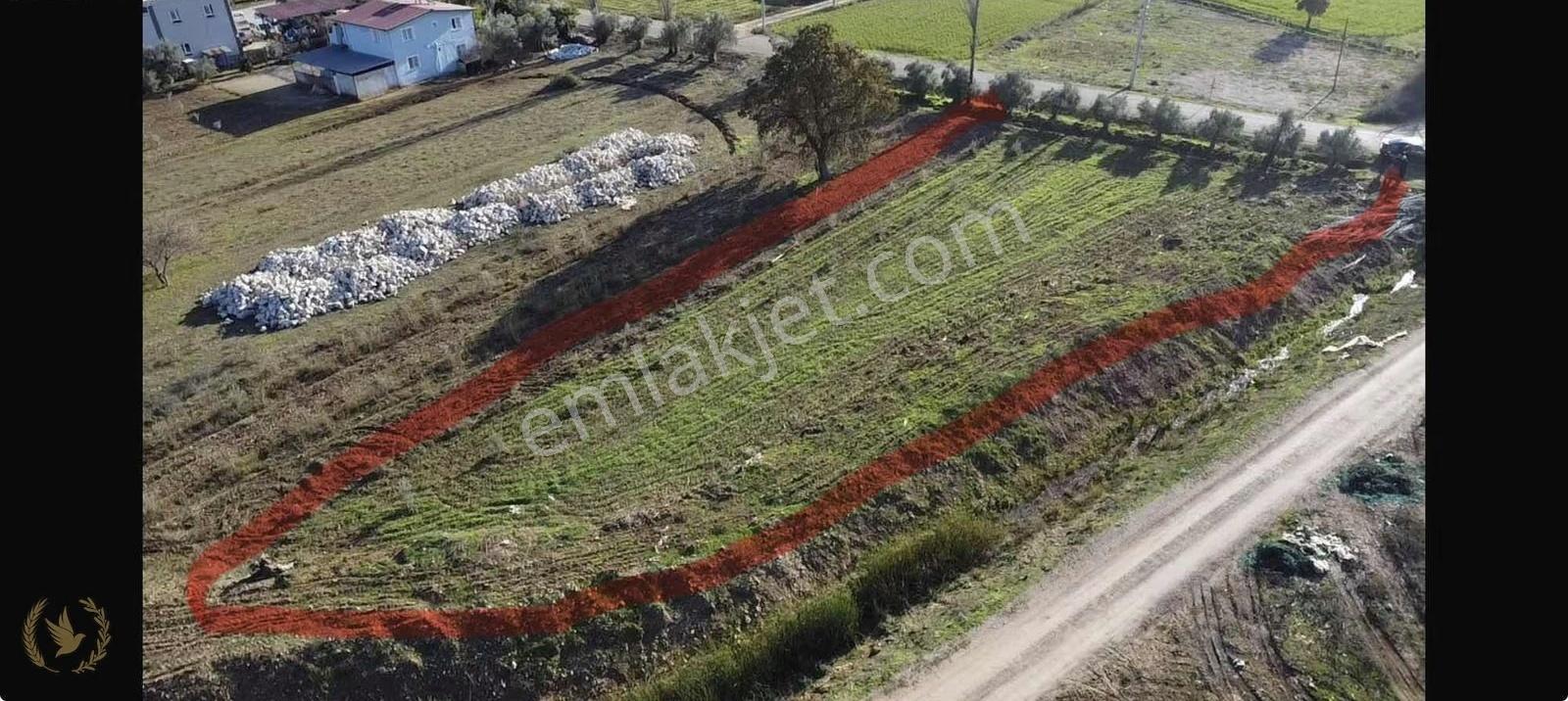 Seydikemer Kabaağaç Mah.kalbinde 1267mt Kare İmarlı Arsa Sat - Görsel 2
